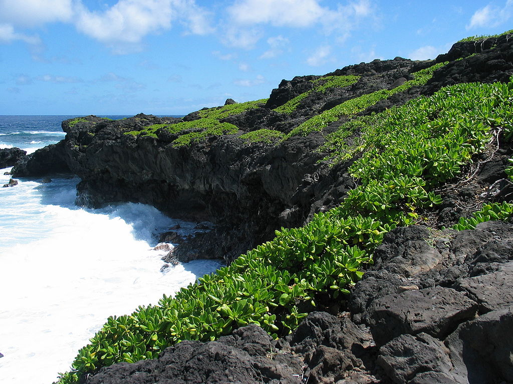 Kipahulu coastal region of Haleakala National Park