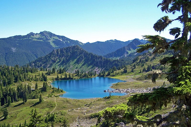 Seven lakes basin at the Olympic National Park, Washington, USA
