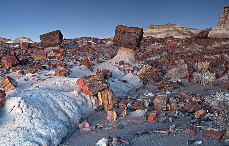 Landscape Photo of the Petrified Forest National Park