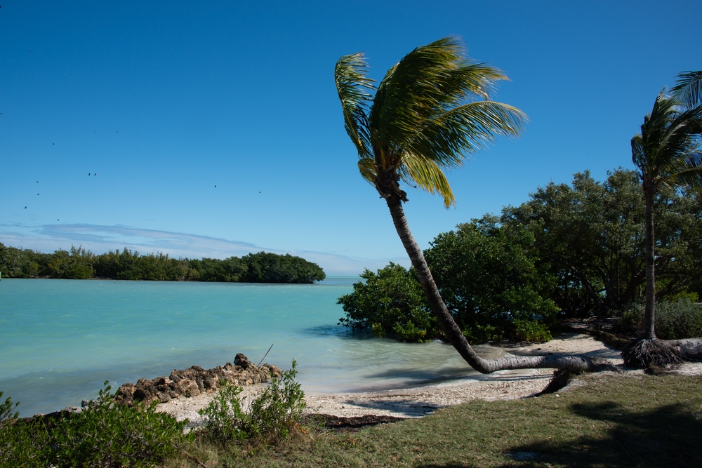 Landscape Photo of the Biscayne National Park in Florida