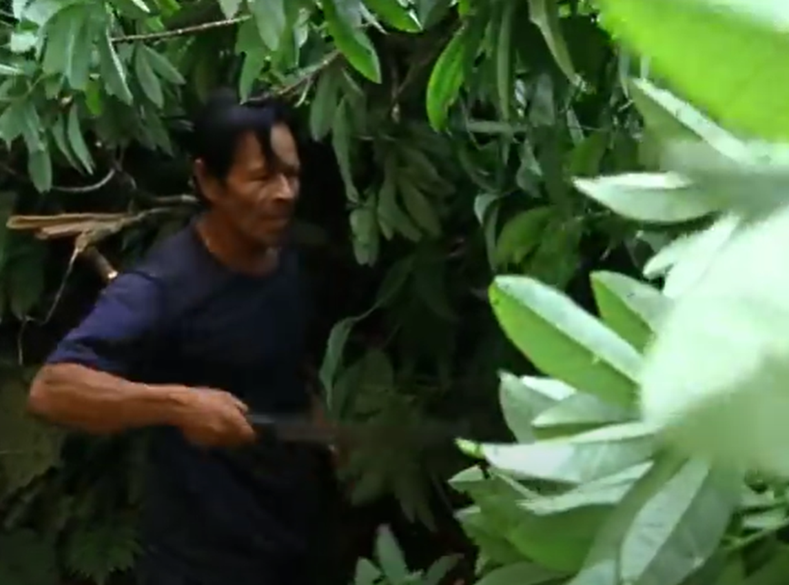 Screenshot of plane parts in the jungle - from Julianes Sturz in den Dschungel (1999)