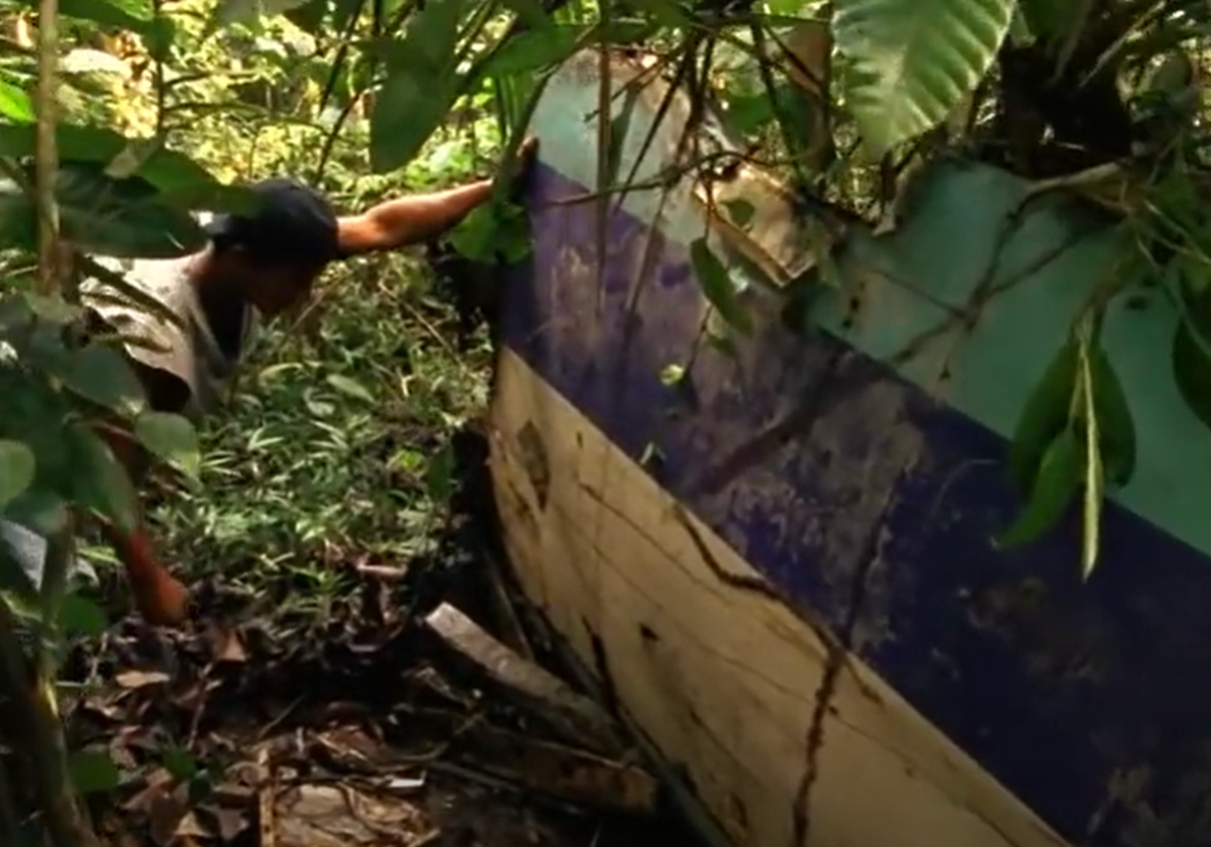 Screenshot of plane parts in the jungle - from Julianes Sturz in den Dschungel (1999)
