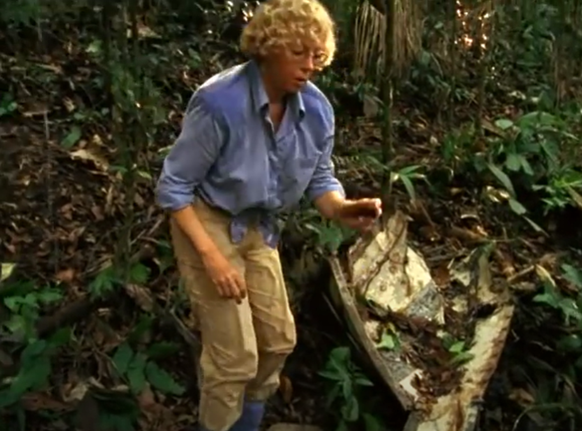 Screenshot of Juliane Koepcke looking down - from Julianes Sturz in den Dschungel (1999)