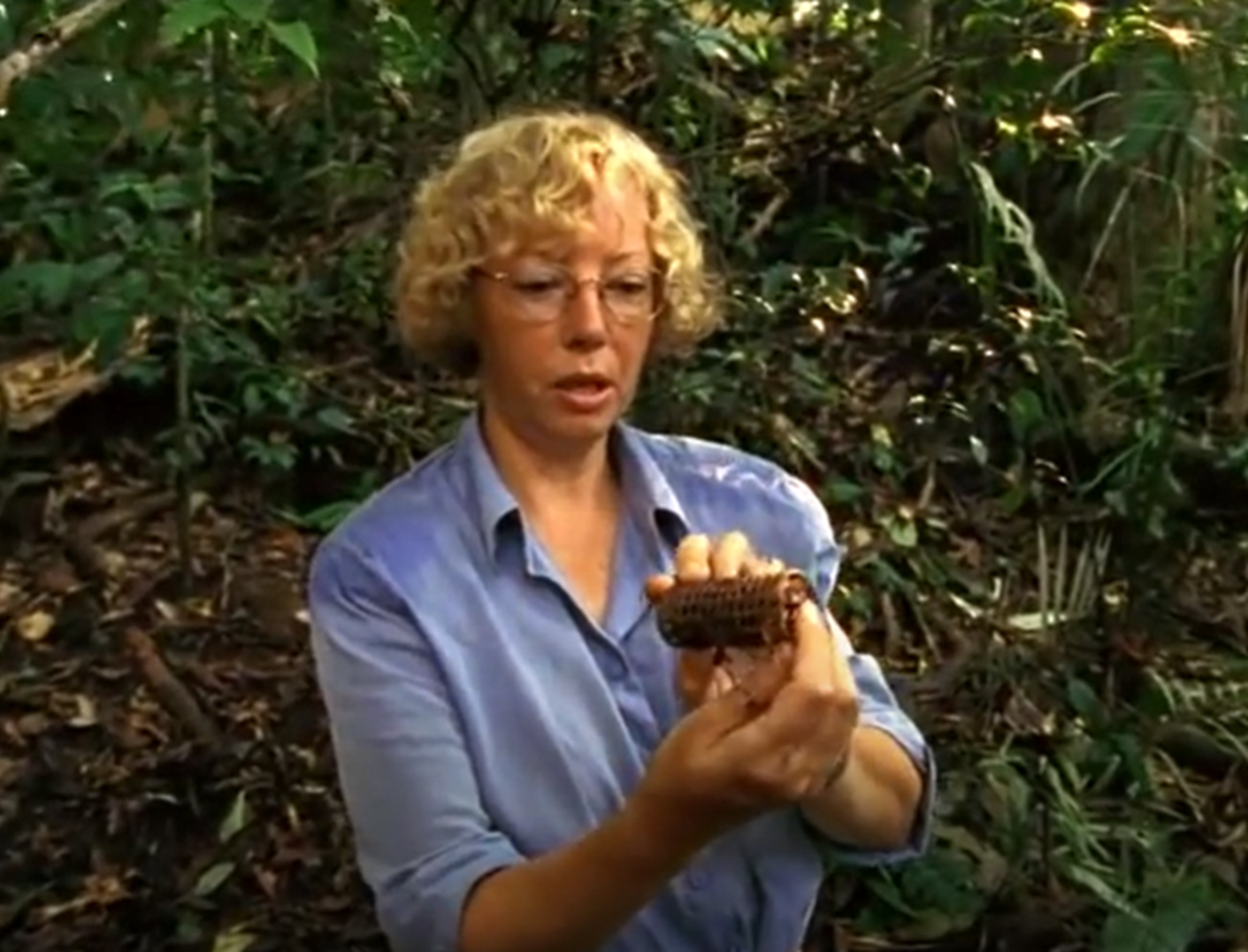 Screenshot of Juliane Koepcke looking down - from Julianes Sturz in den Dschungel (1999)