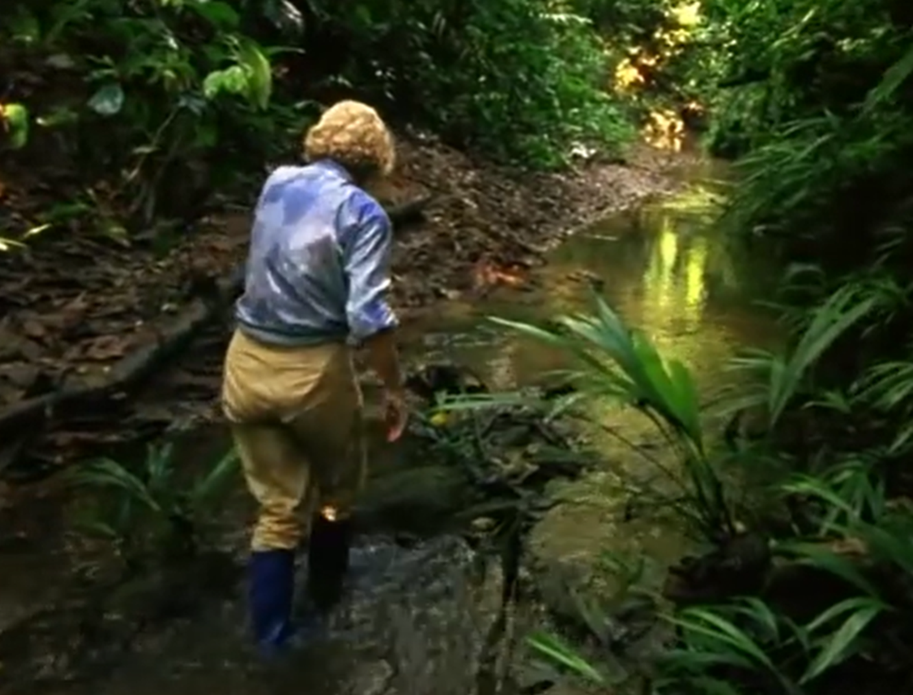 Screenshot of Juliane Koepcke looking at side - from Julianes Sturz in den Dschungel (1999)