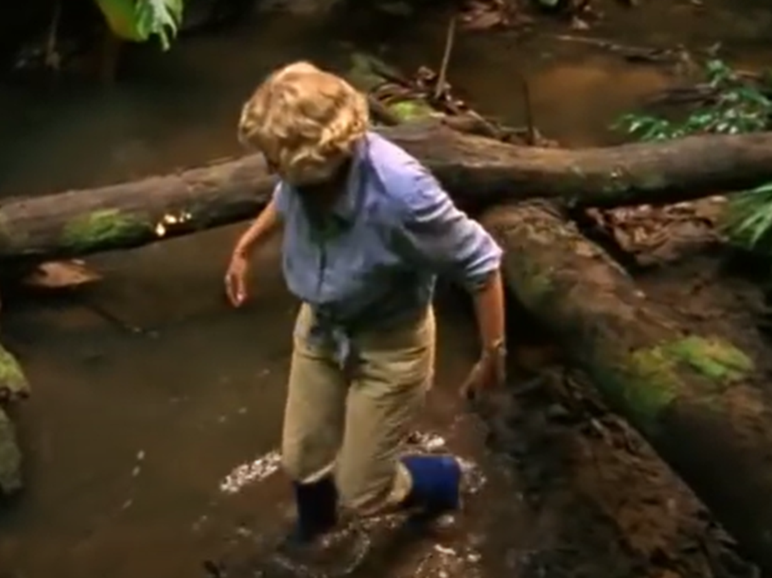 Screenshot of Juliane Koepcke looking down - from Julianes Sturz in den Dschungel (1999)