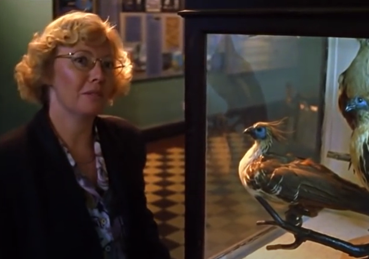 Screenshot of Juliane Koepcke looking at camera - from Julianes Sturz in den Dschungel (1999)