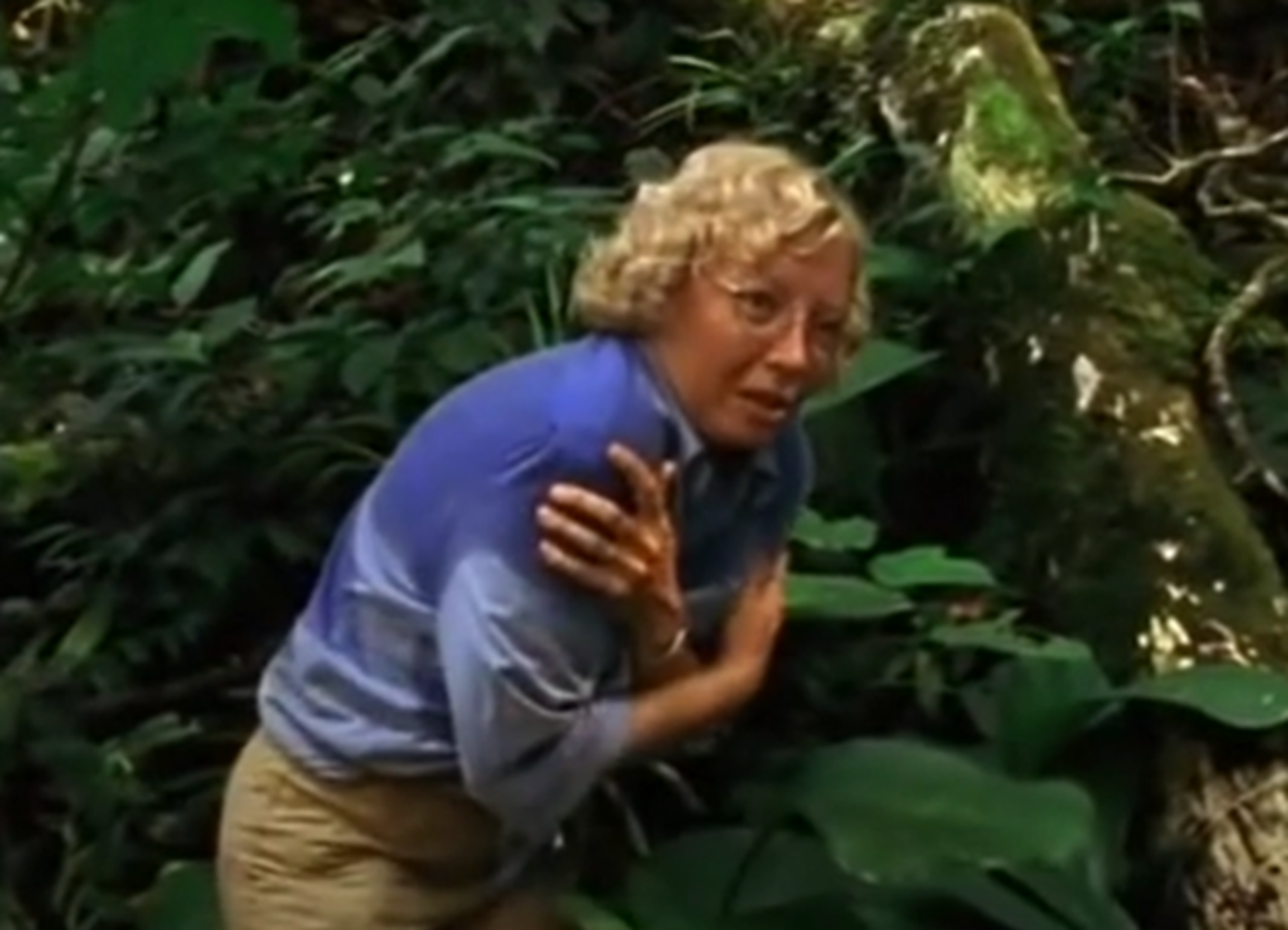 Screenshot of Juliane Koepcke looking at side - from Julianes Sturz in den Dschungel (1999)