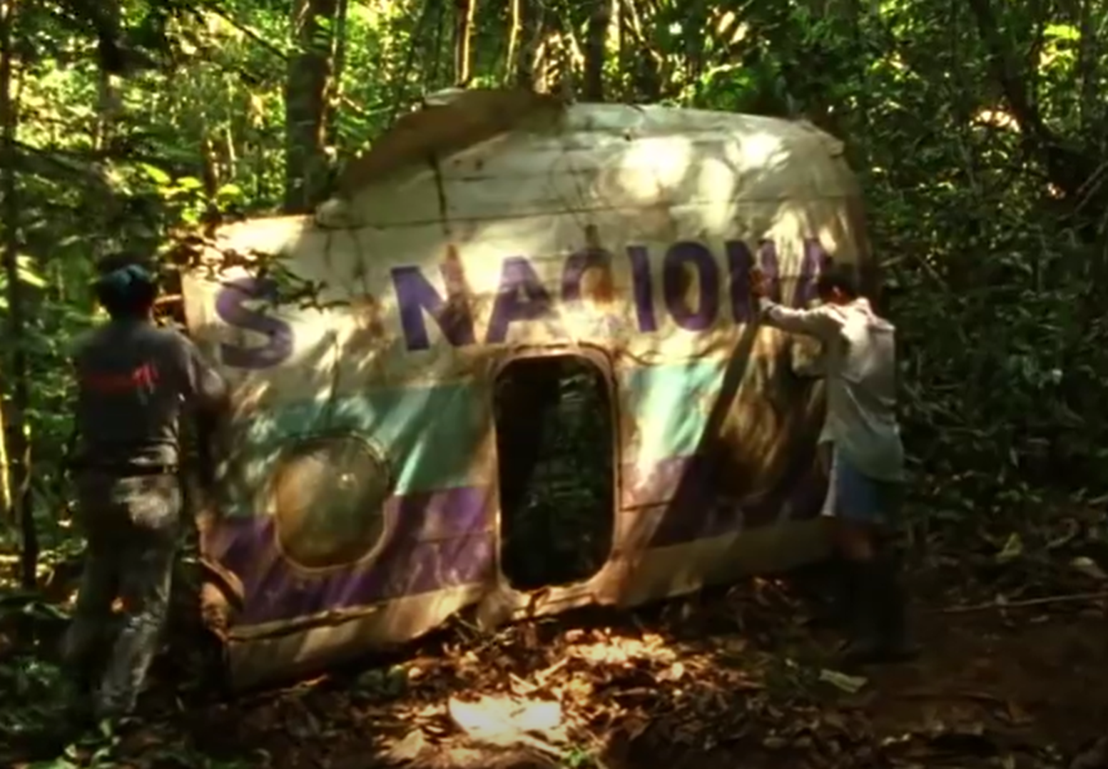 Screenshot of  the plane in the jungle - from Julianes Sturz in den Dschungel (1999)