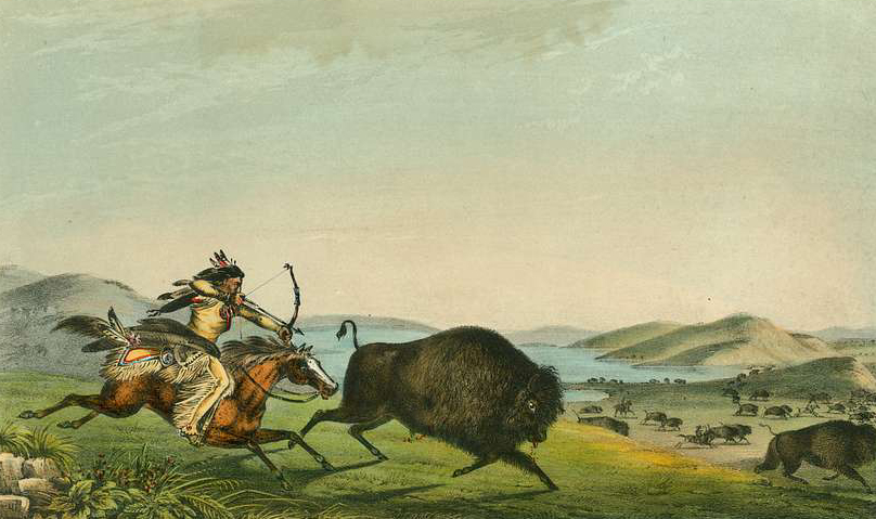 hunt buffalo,  cheyenne  tribe