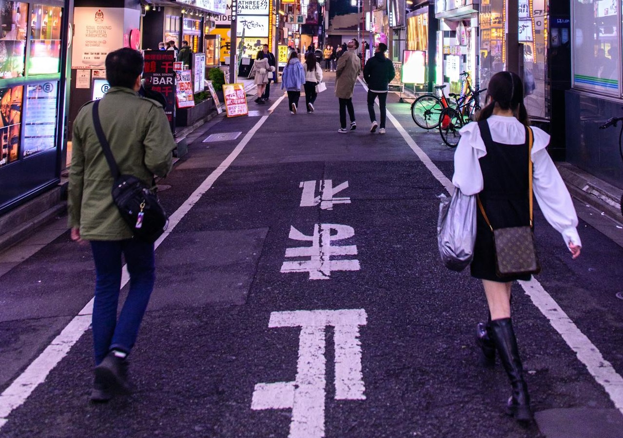 People Walking on Street in City in Japan at Night