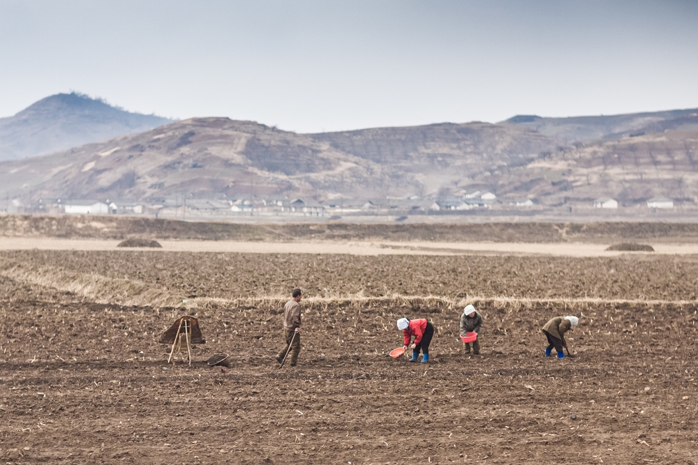 farmers in North Korea