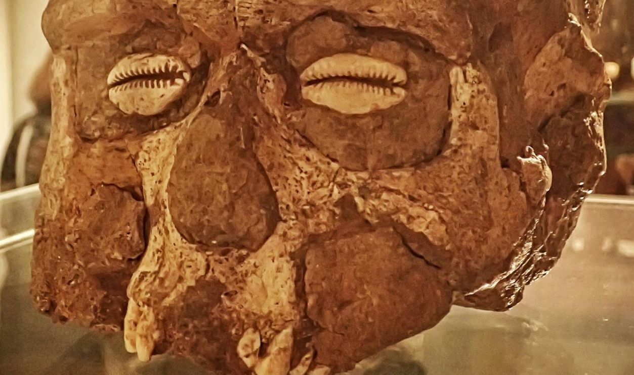 A plastered skull from the ancient city of Jericho