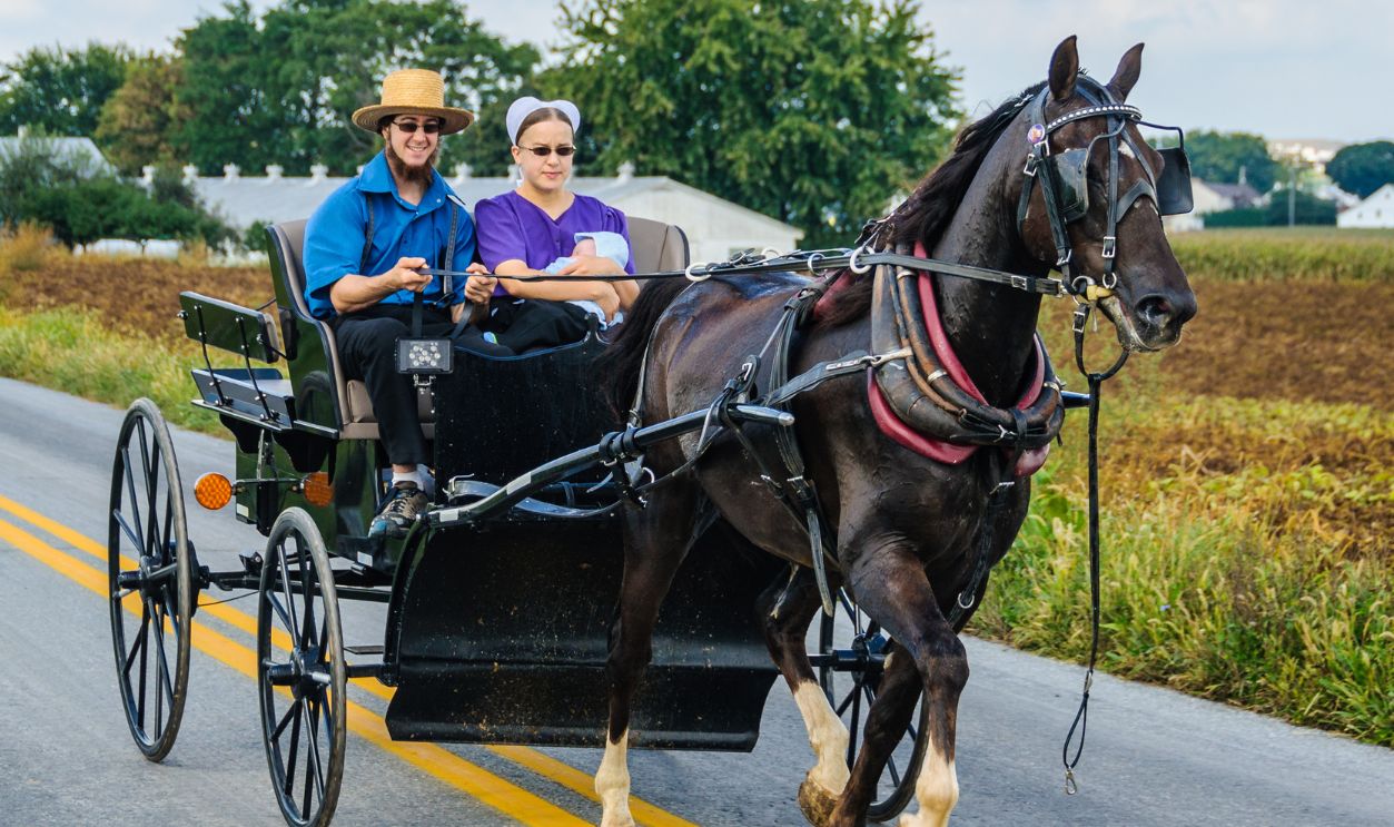 Amish Bride dress