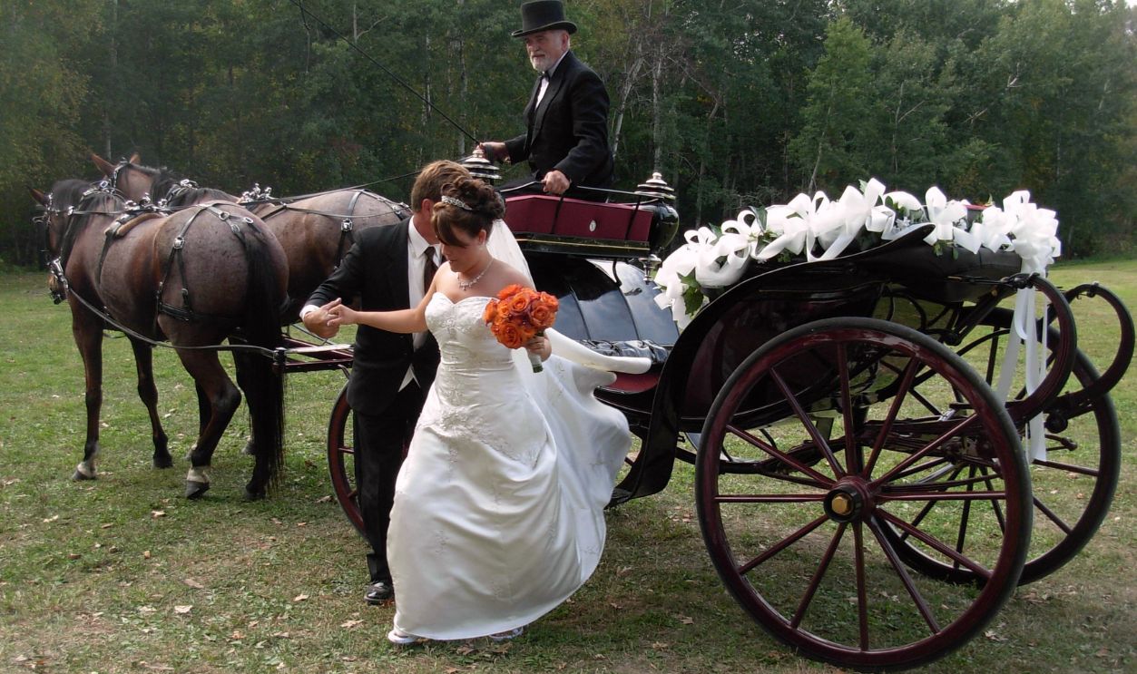 Amish WeddingCarriage