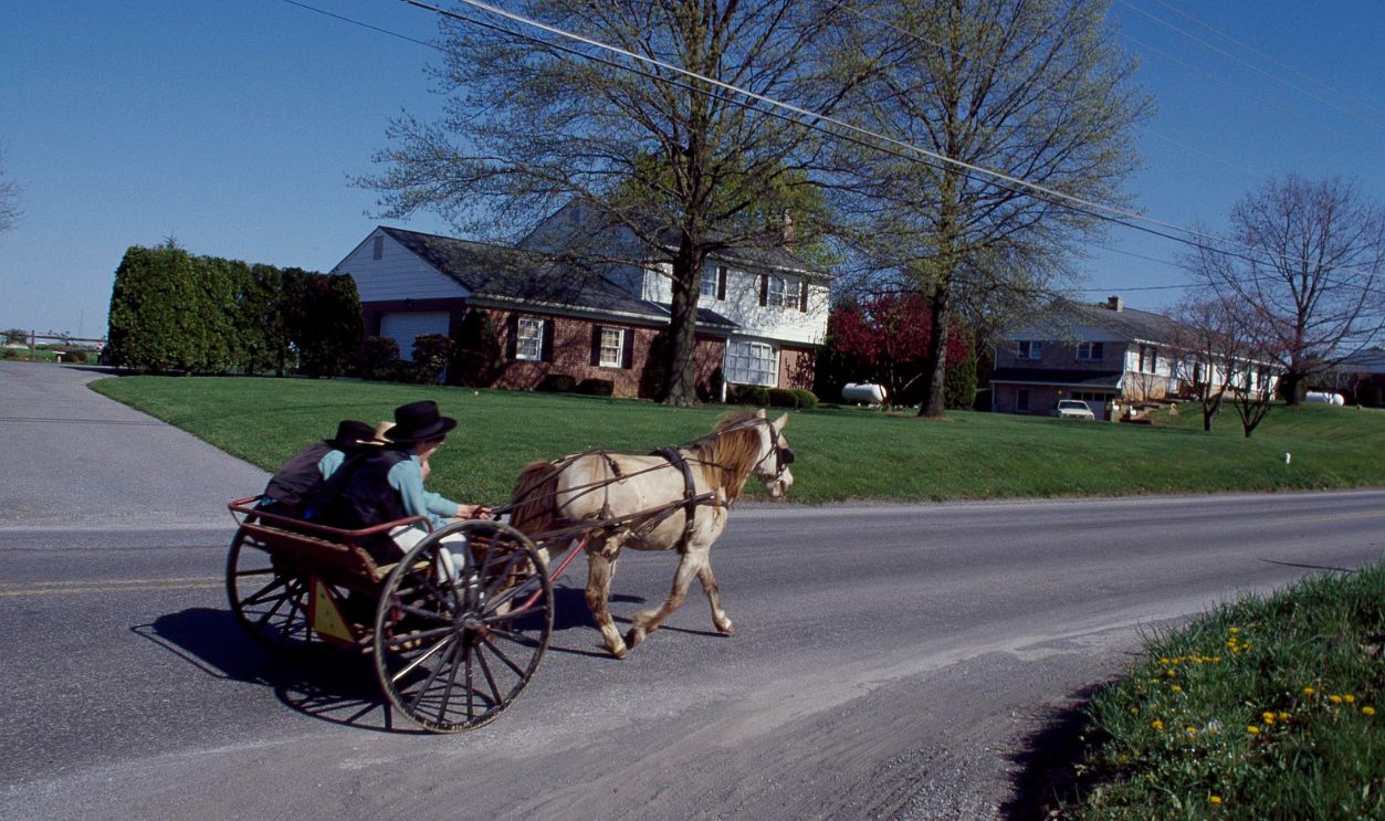 Amish Boy buggy