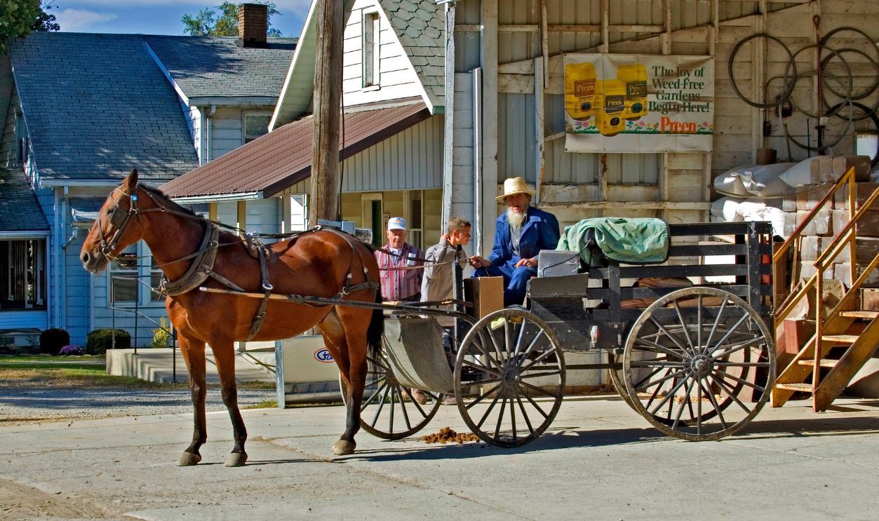 Amish couple in horse and buggy