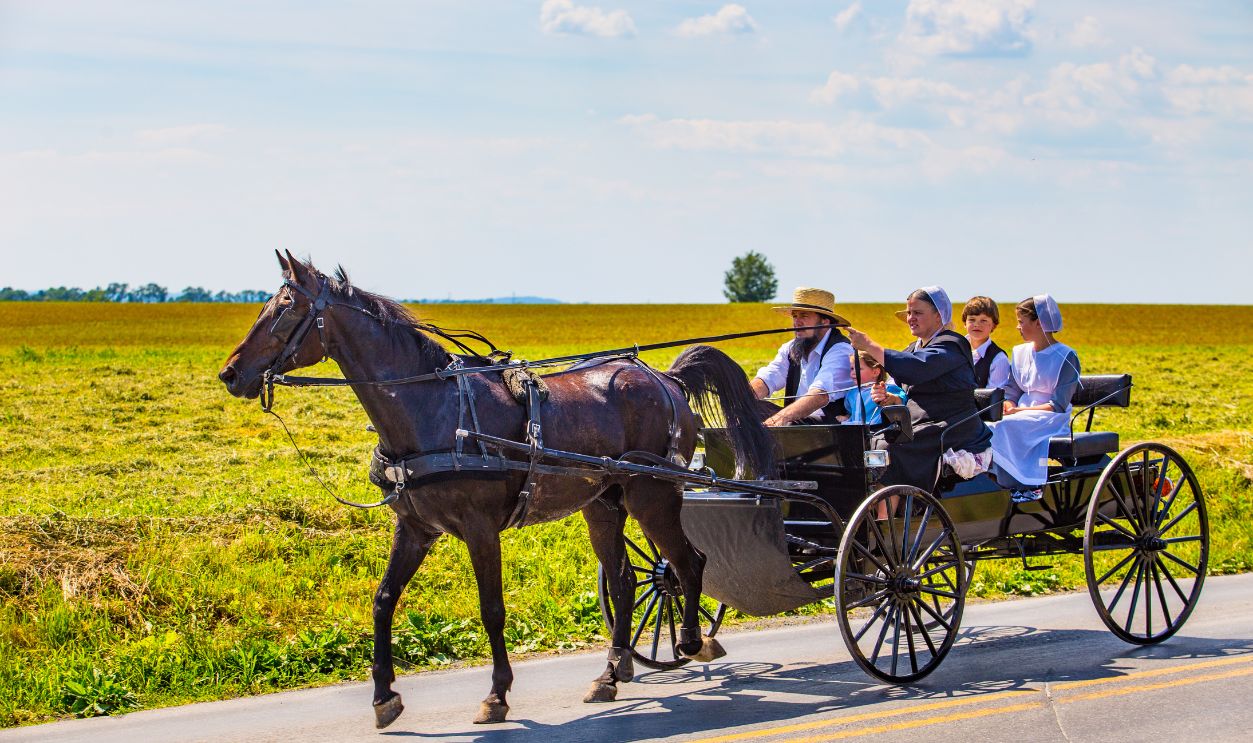 Amish Family Riding