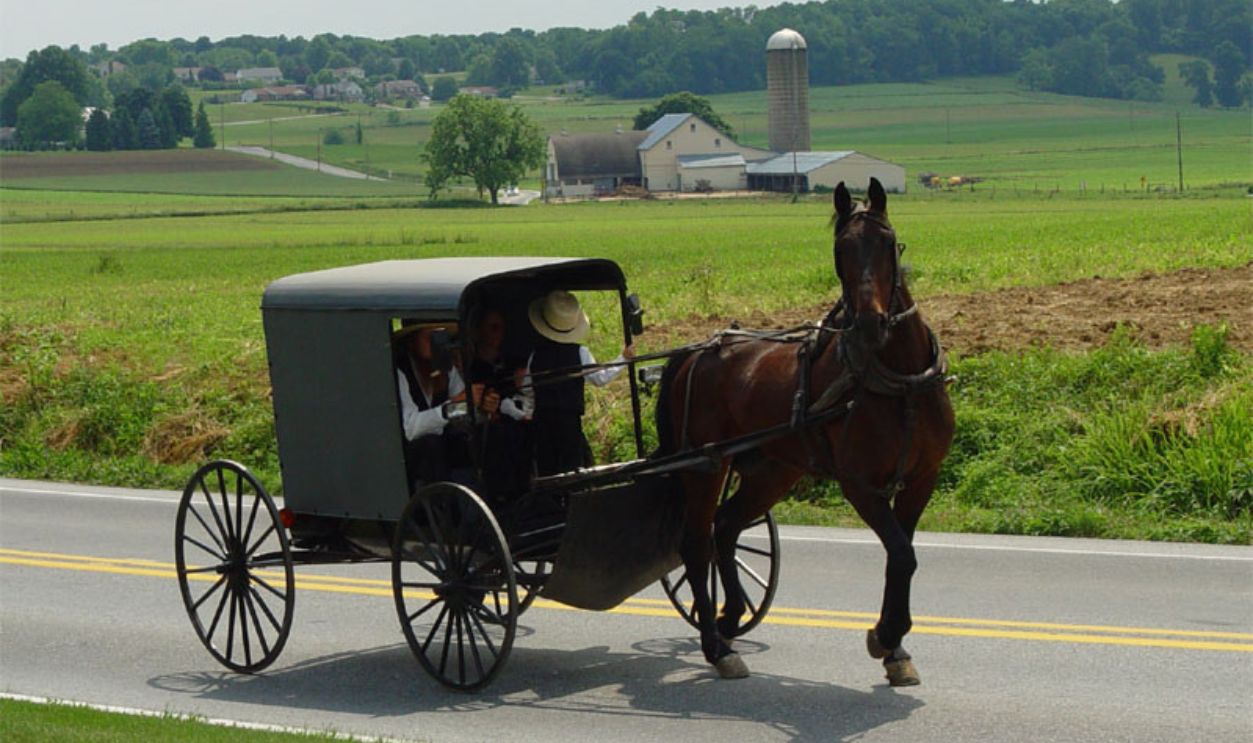 Lancaster County Amish