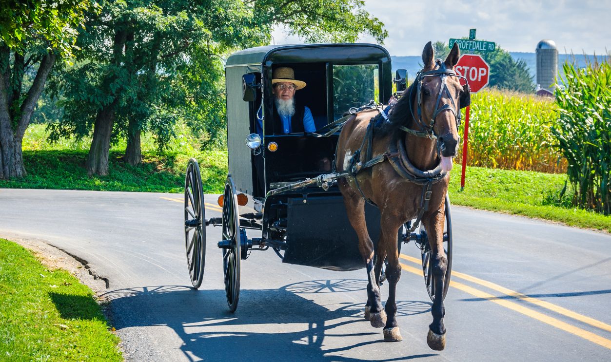 AMISH PENNSYLVANIA, USA 