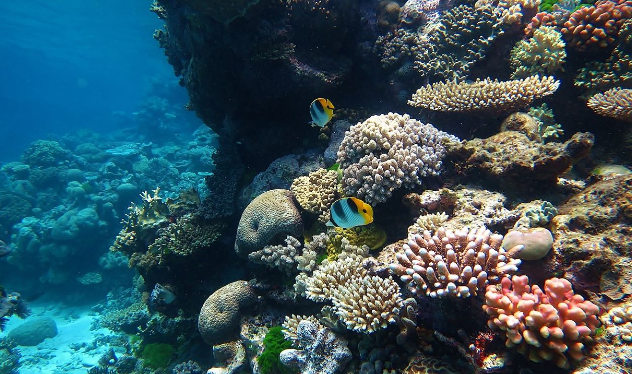 Great Barrier Reef
