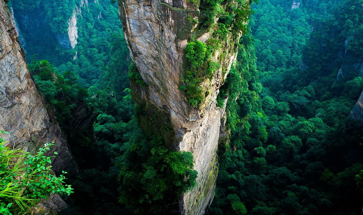Zhangjiajie National Forest 