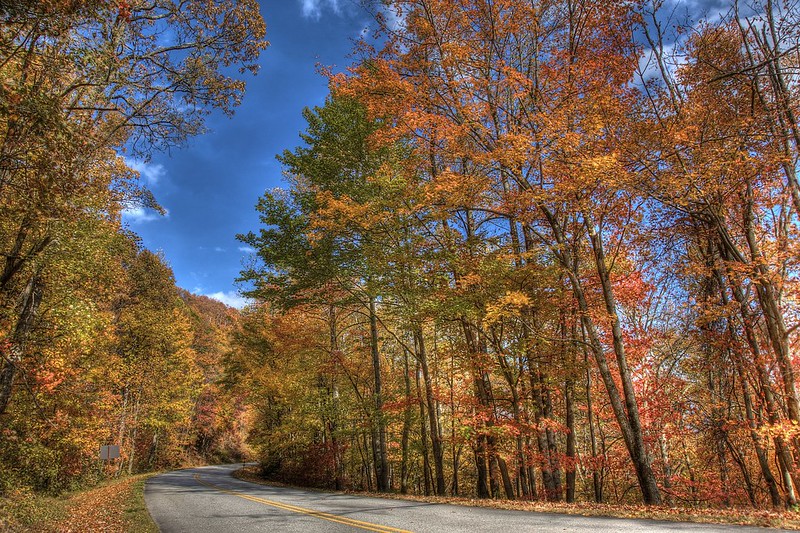 Landscape Photo of the Blue Ridge Parkway on Fall