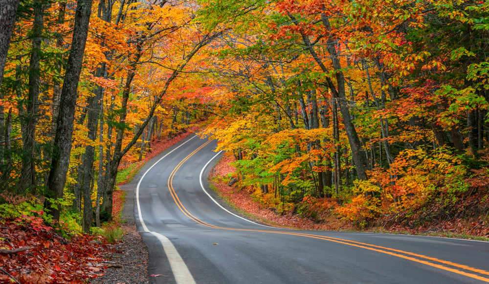 Tunnel of trees in autumn time in upper peninsula