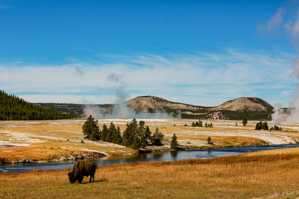 Landscape Photo of the Yellowstone National Park, USA.