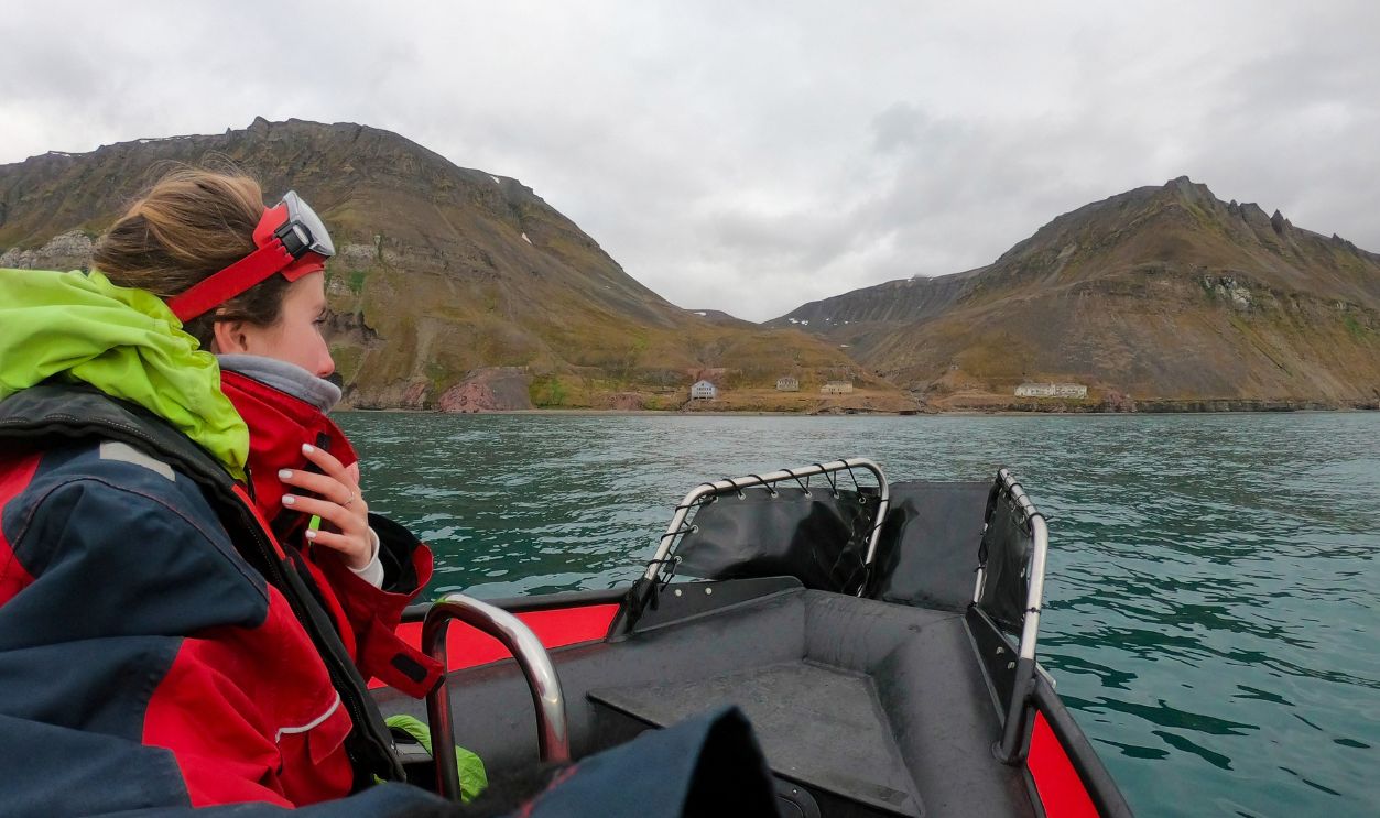 Traveler woman - 2462744709