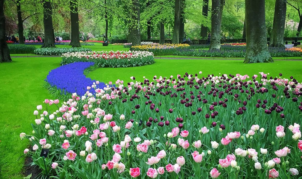Keukenhof Gardens