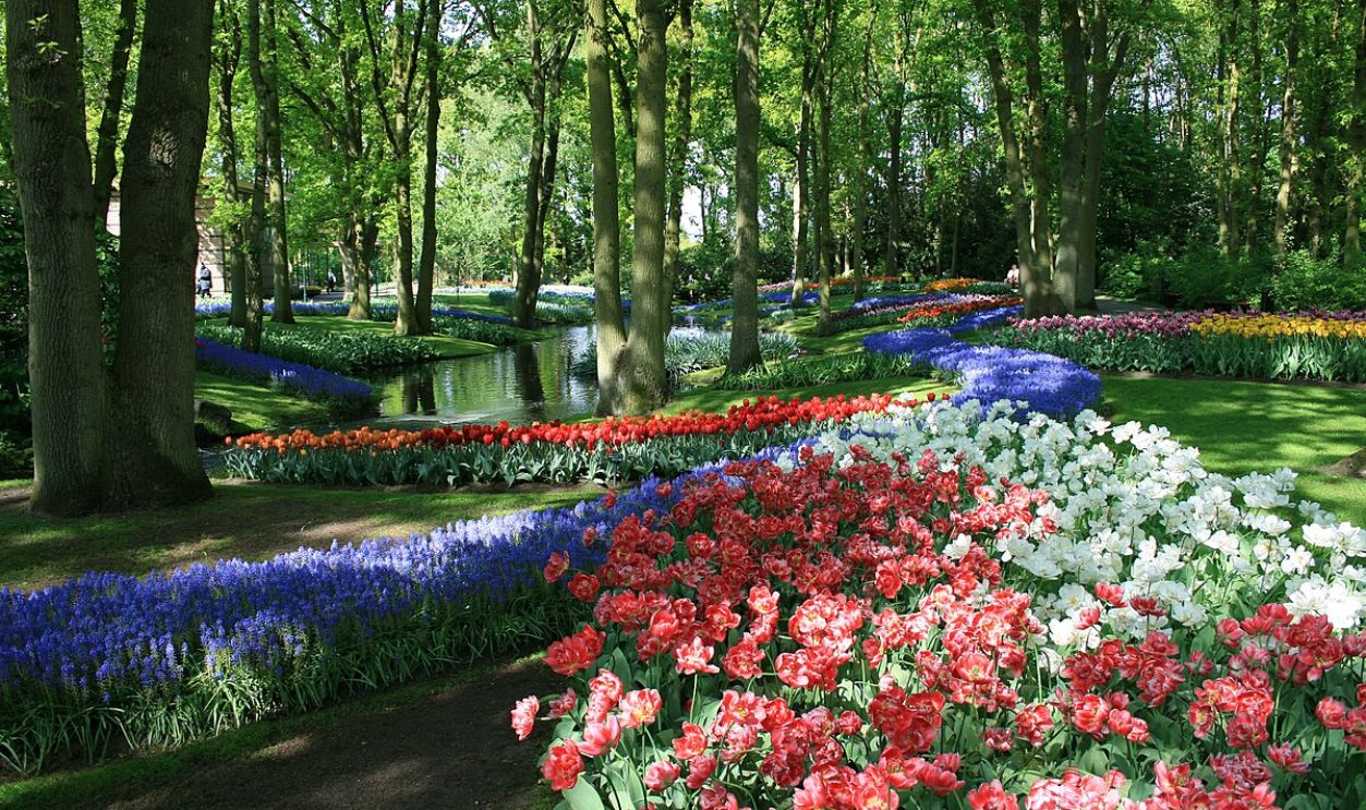 Keukenhof Gardens  (1)