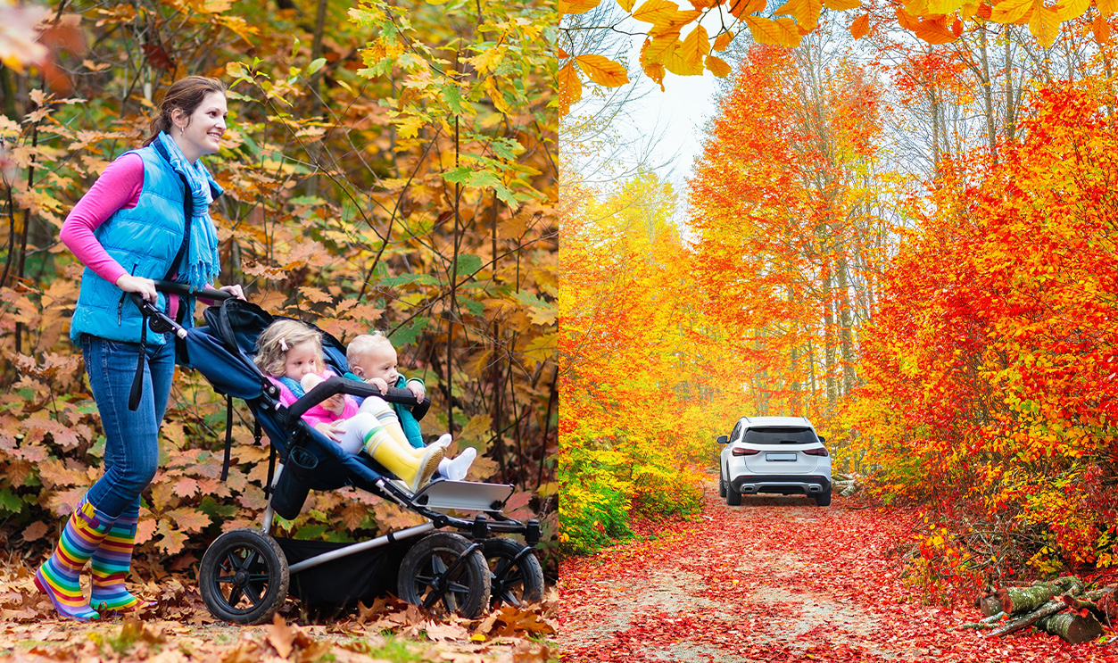 Rss Thumbnail - Fall Road Trips