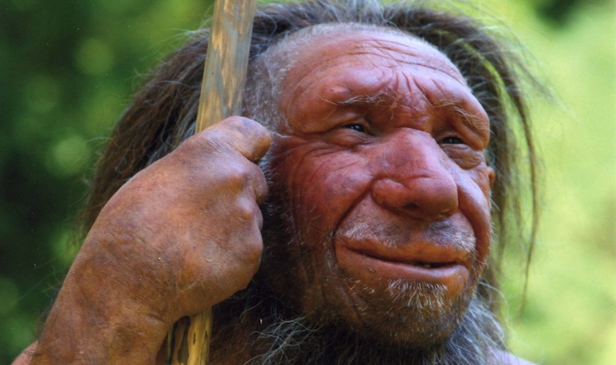 Homo sapiens neanderthalensis
