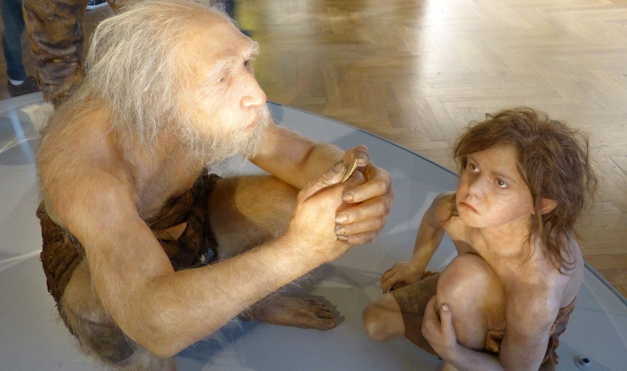 Neanderthals old and young