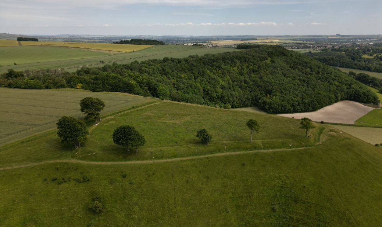 Oliver's Castle Event