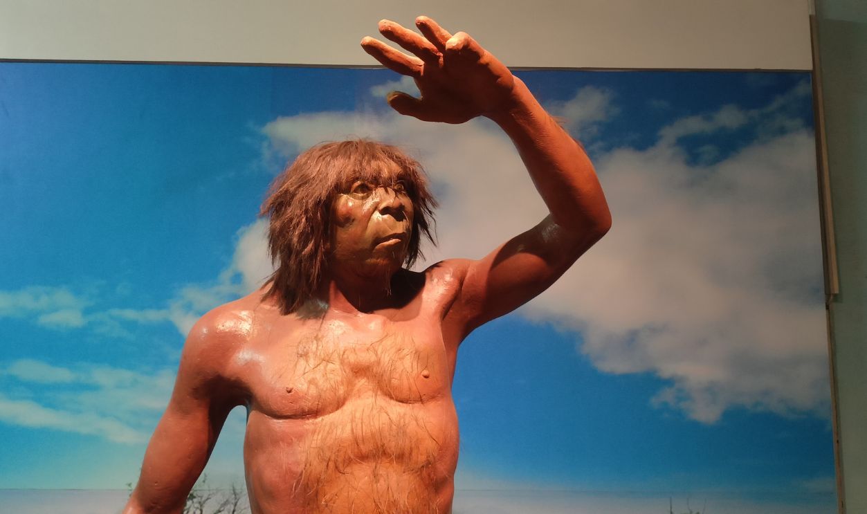 Statue of Neanderthal