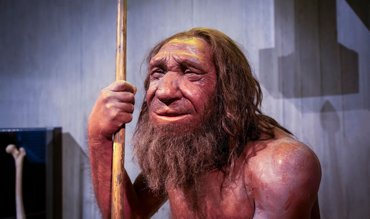 Neanderthal Museum