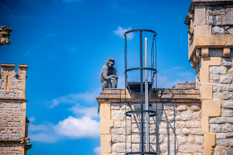 Baboon Sculpture on the Tower of London Walls