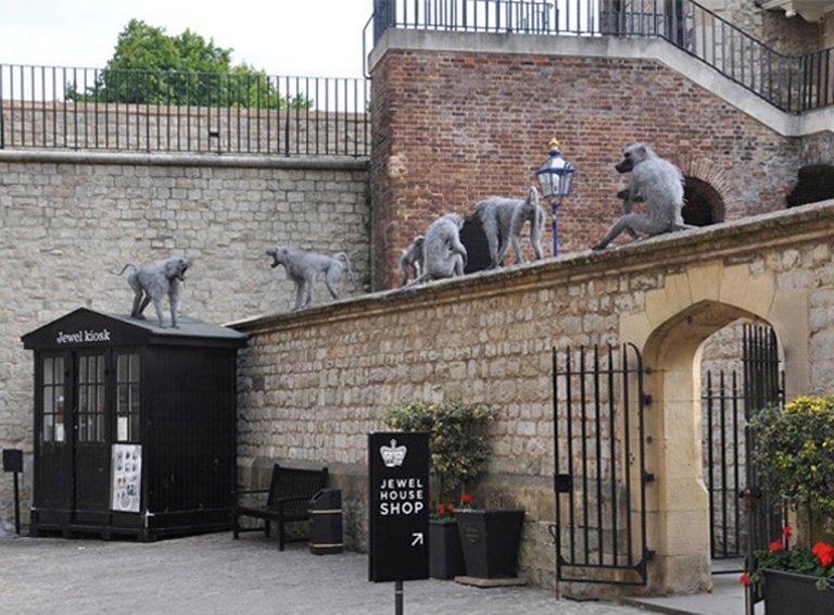 Baboon Installation At The Tower Of London