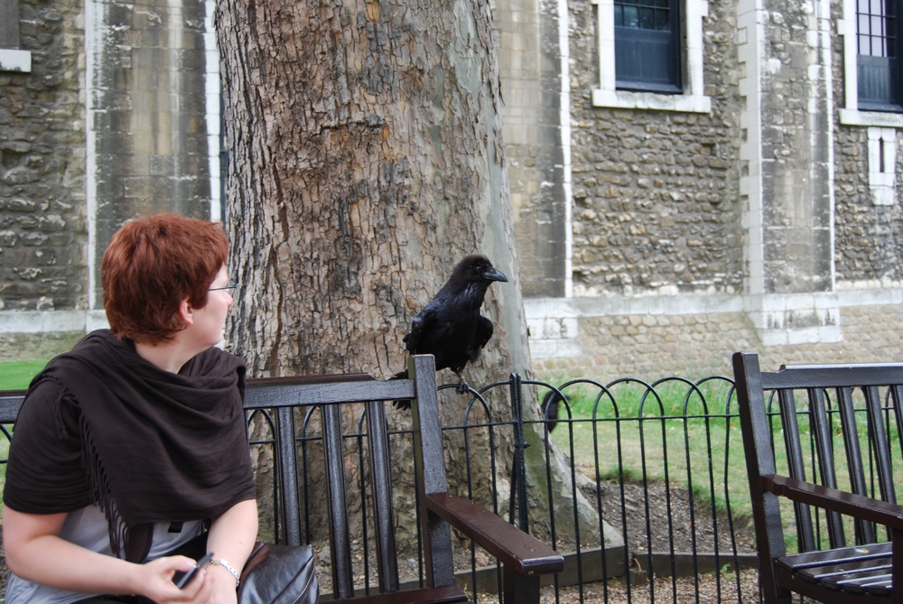 A woman and a raven at the Tower of London