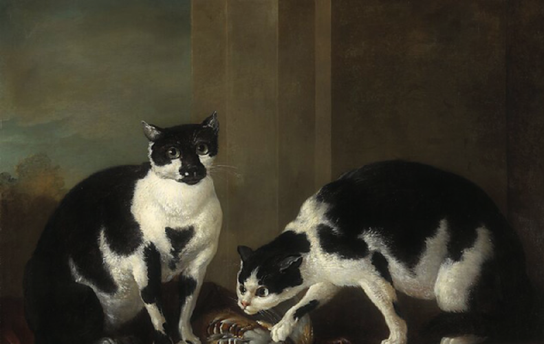 Two Cats in France, 1700s