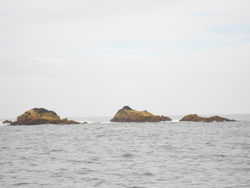 Outcropps of the Formigas Bank