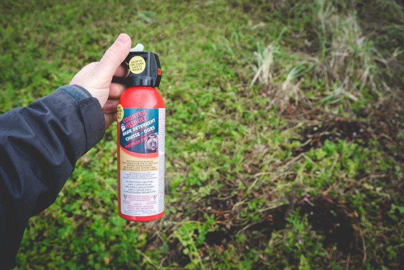 Man is holding bear spray
