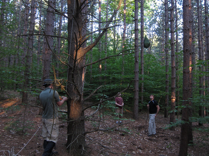 Three people hanging bear bag