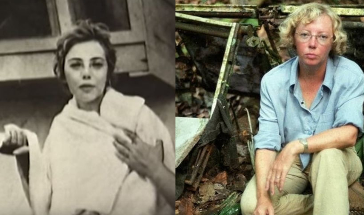 Juliane Koepcke Split L