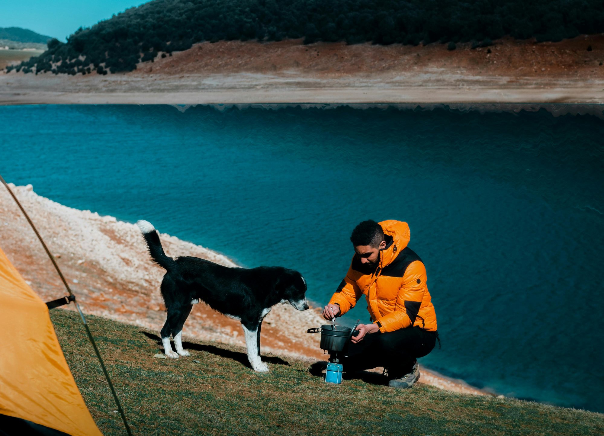 Man on camping with his dog