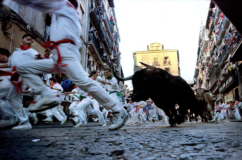 Bull running