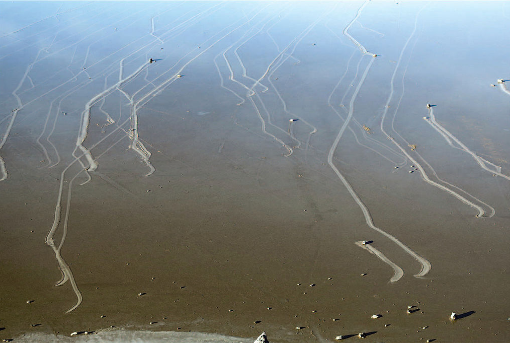 The Racetrack Playa, California