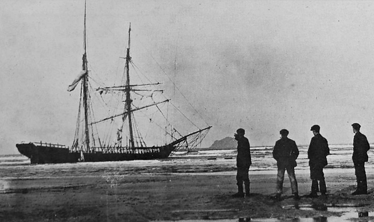 Mary Celest Msn Single